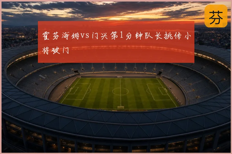 霍芬海姆vs门兴第1分钟队长挑传小将破门